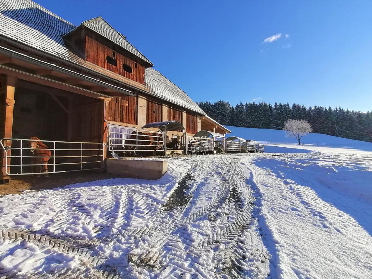 Staudachhof Althofen (Carinthia) Exterior foto