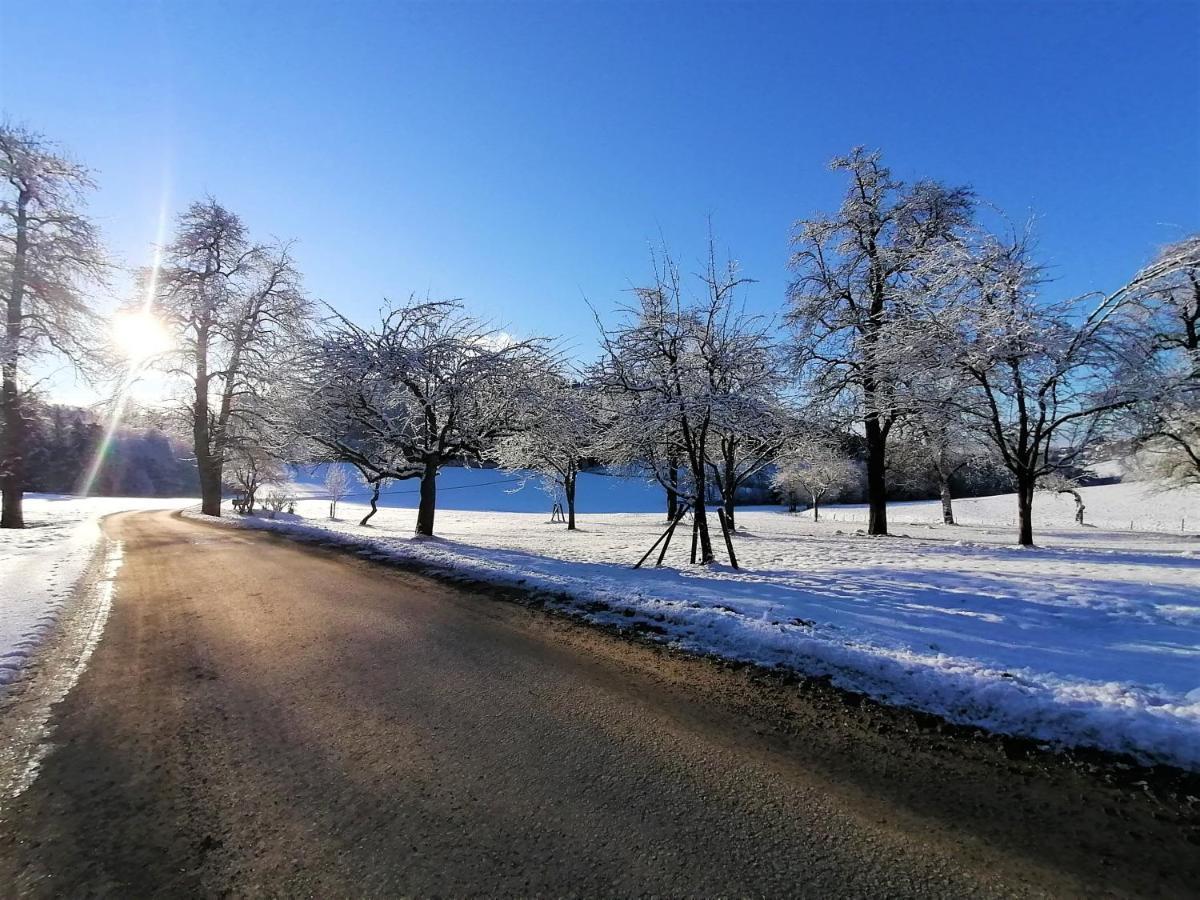 Staudachhof Althofen (Carinthia) Exterior foto