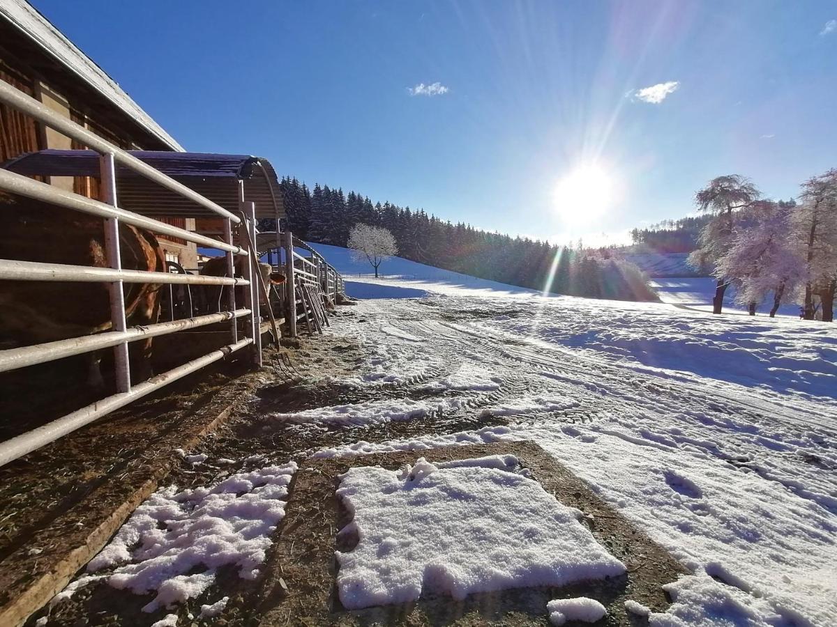Staudachhof Althofen (Carinthia) Exterior foto